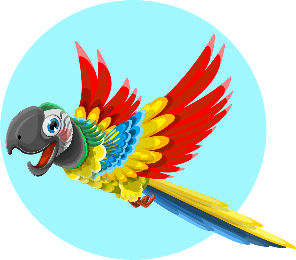 African Bird PNG