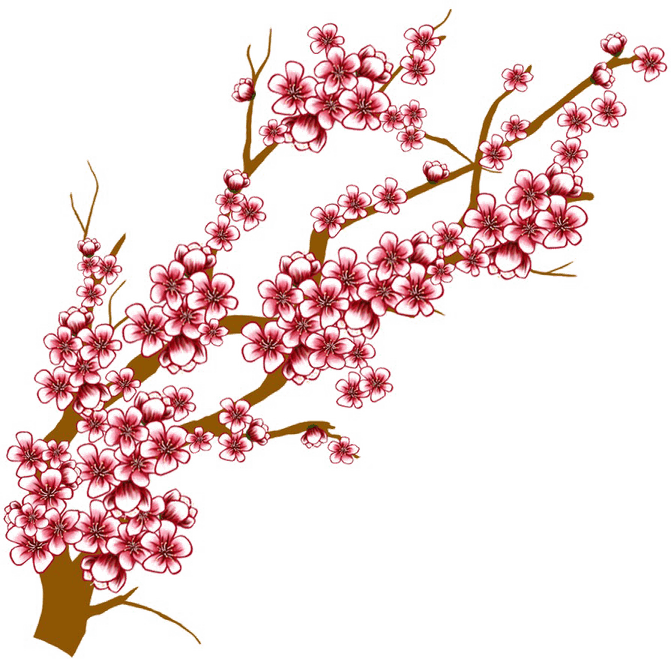 Blossom Tree PNG