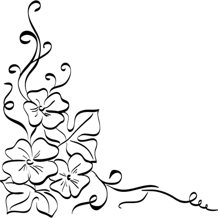 Cosmos Flower PNG