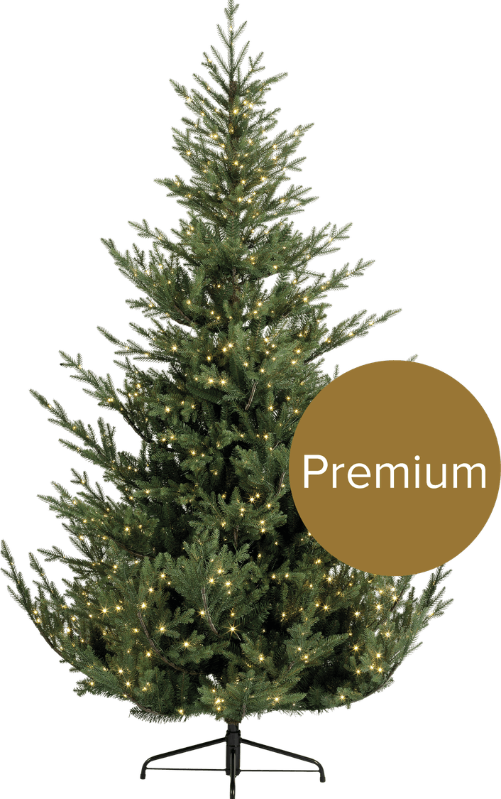 Half Christmas Tree PNG