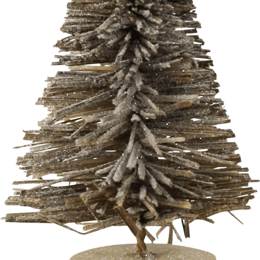 Bottlebrush Tree PNG