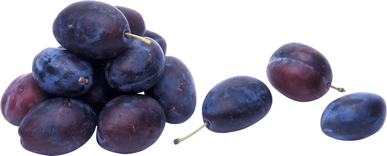 Java Plum PNG