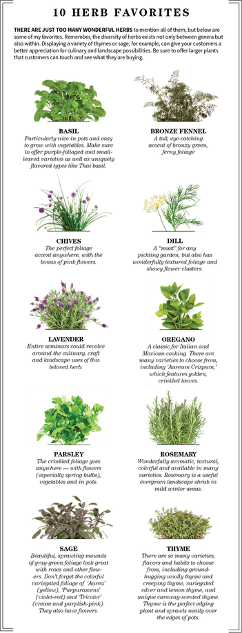 Basil Flower PNG
