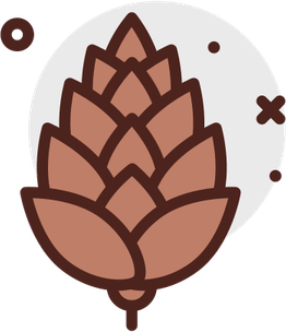 Pine Cone PNG