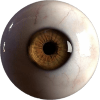 Brown Eye PNG