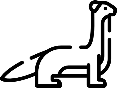Weasels PNG