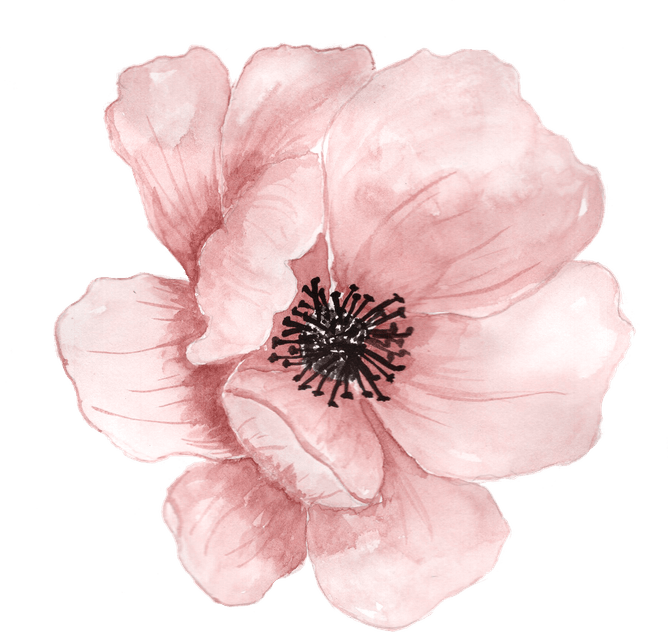 Pink Flower PNG