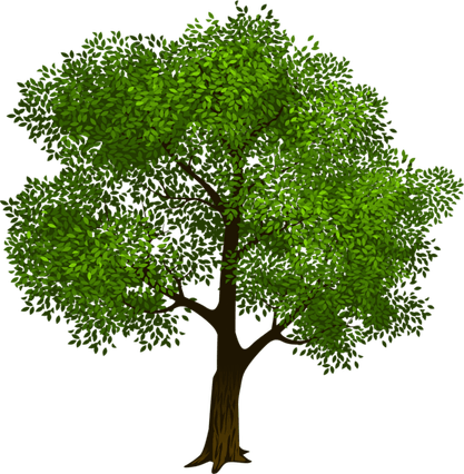 Environment Tree PNG