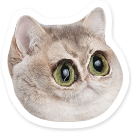Heavy Breathing Cat PNG