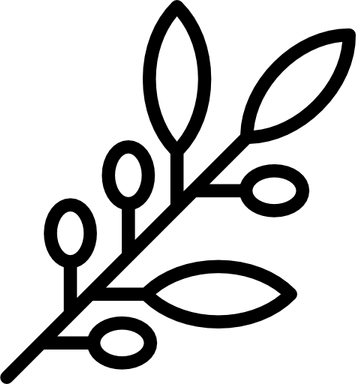 Olive Branch PNG