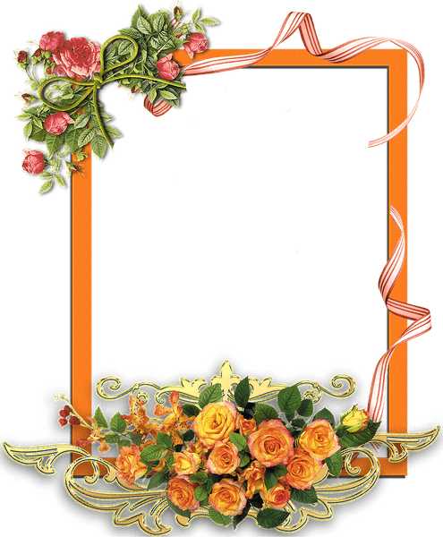 Frame Flower PNG