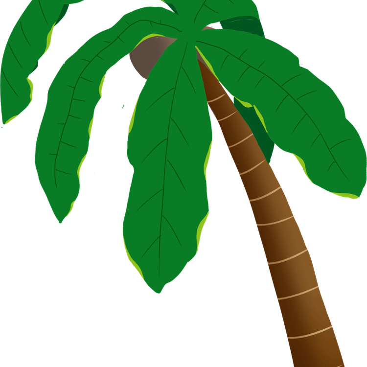 Coconut Palm Tree PNG