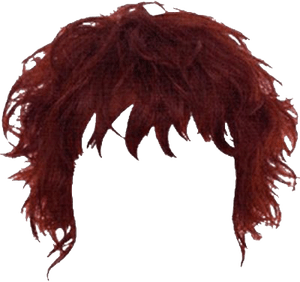 Hairstyles PNG