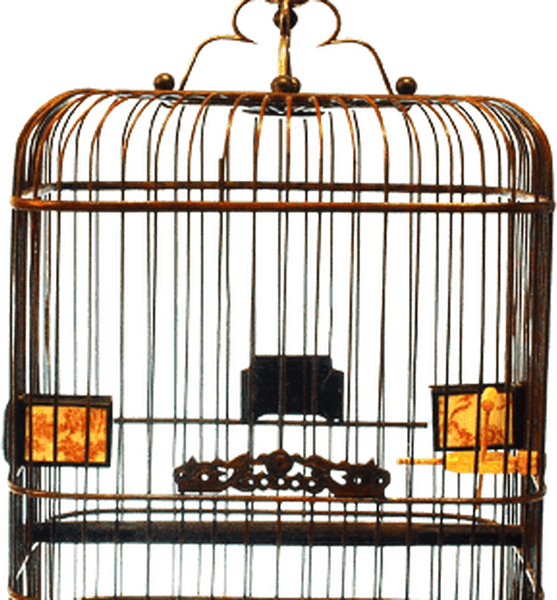Birdcage Elevator PNG