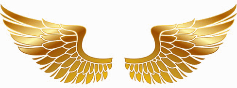 Gold Wings PNG