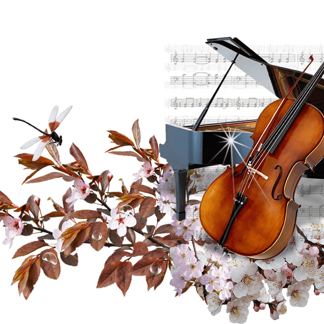 Cello PNG