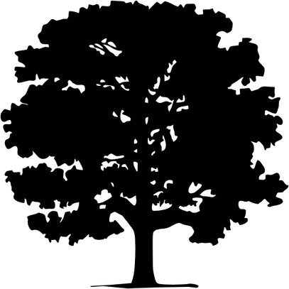 Tree Sticker PNG