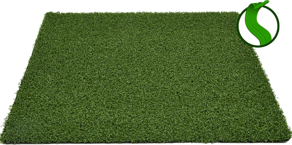 Green Carpet Grass PNG