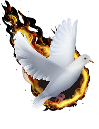 Holy Spirit Fire Dove PNG