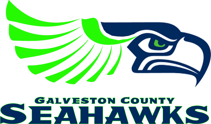 Seattle Seahawks PNG