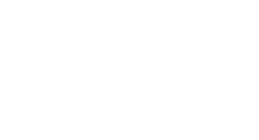 Carolina Panthers Logo PNG