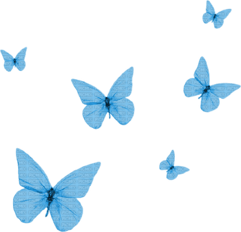 Blue Butterfly Aesthetic PNG
