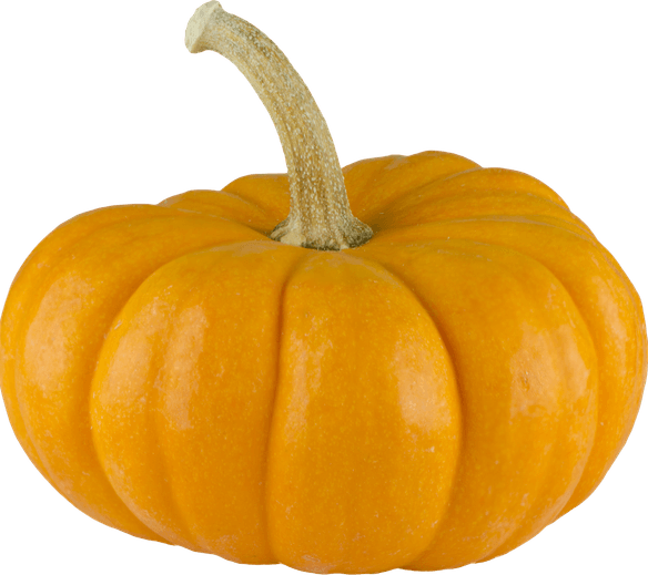 Acorn PNG