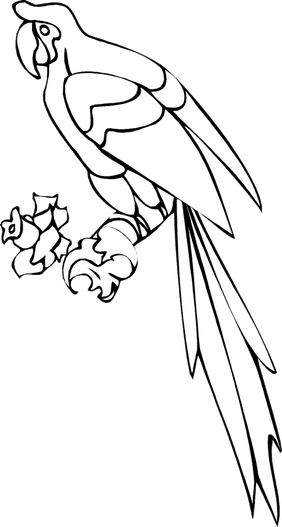 Minecraft Coloring Pages PNG