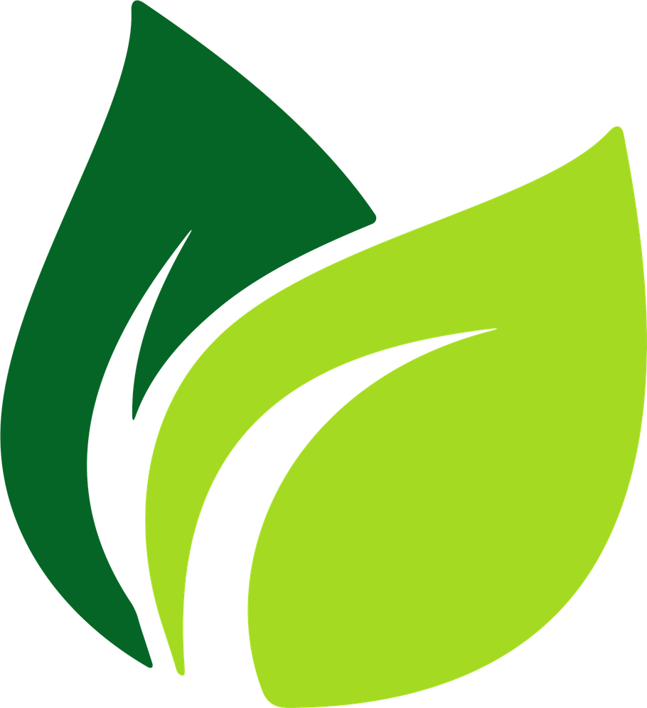 Green Leaf PNG