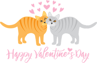 Valentines Day Cat PNG