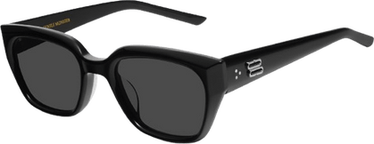Black Sunglasses PNG