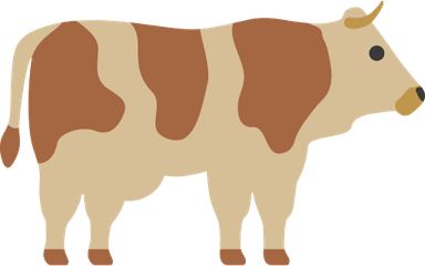 Cows PNG
