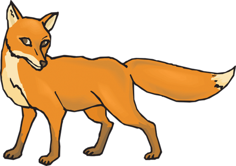 Dhole PNG