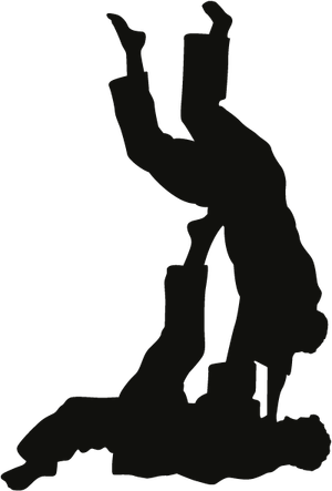 Grappling PNG