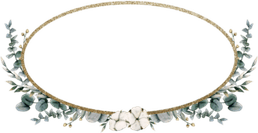 Silver Flower Border PNG