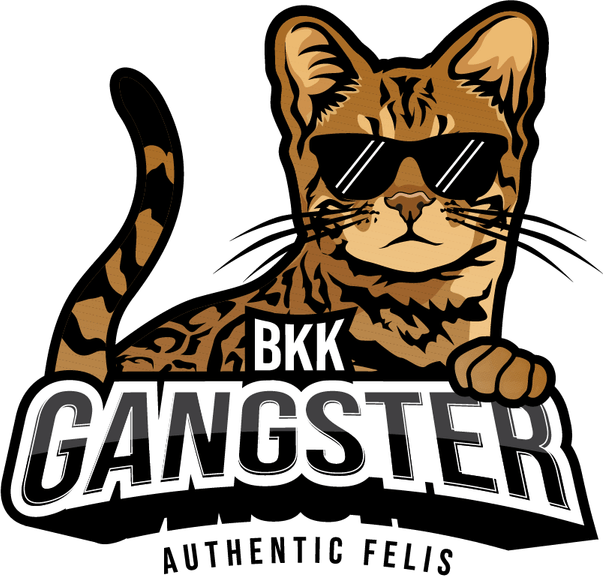 Gangster Cat PNG