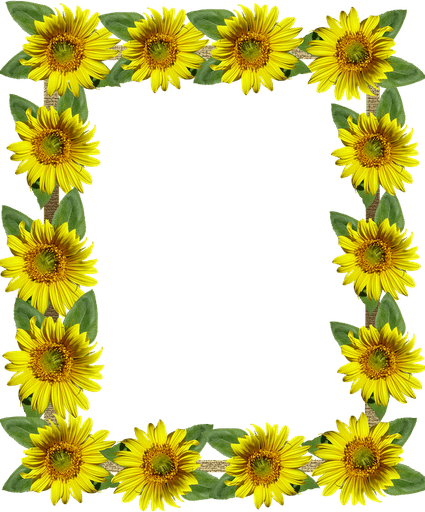 Sunflower Frame PNG