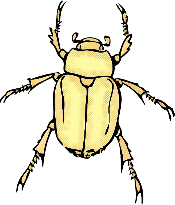 True Bug PNG