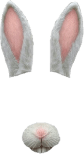 Snapchat Filters PNG