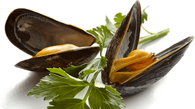 Mussels PNG