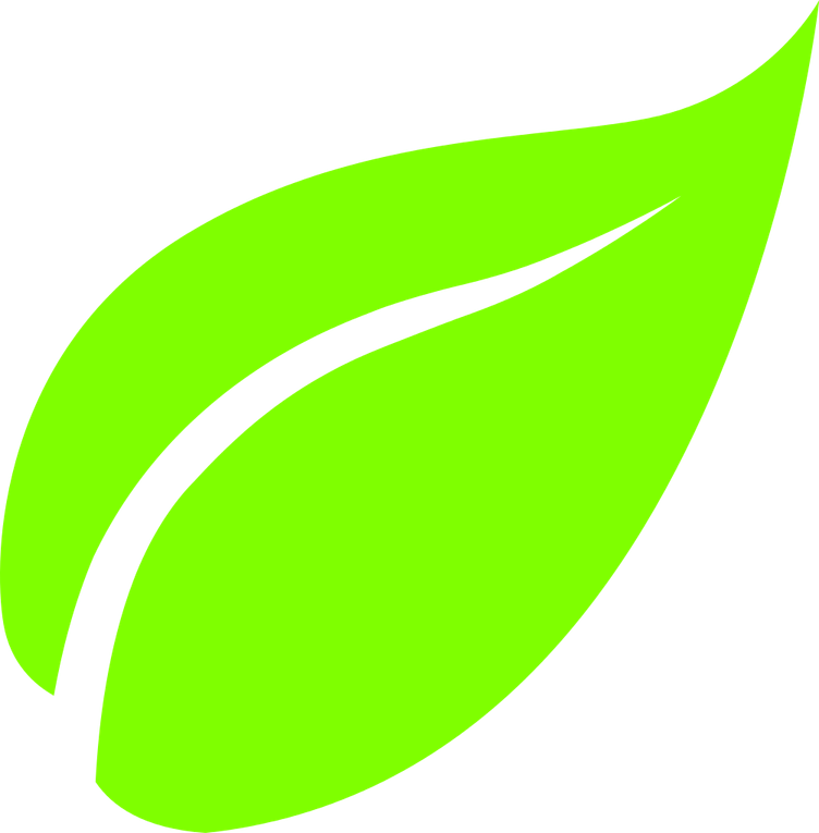 Green Leaf PNG