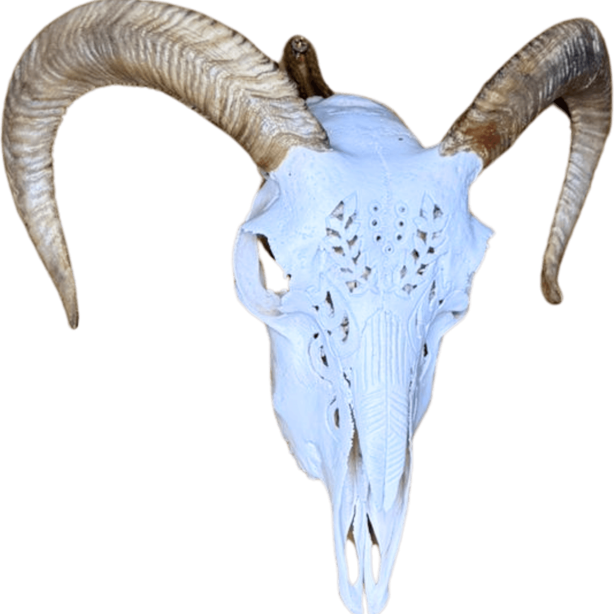 Goat Skull PNG