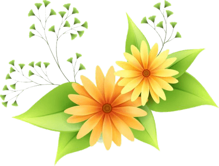 Flowers Vectors PNG