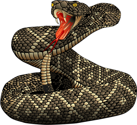 Rattlesnake PNG