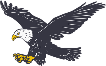 Black And White Bald Eagle PNG