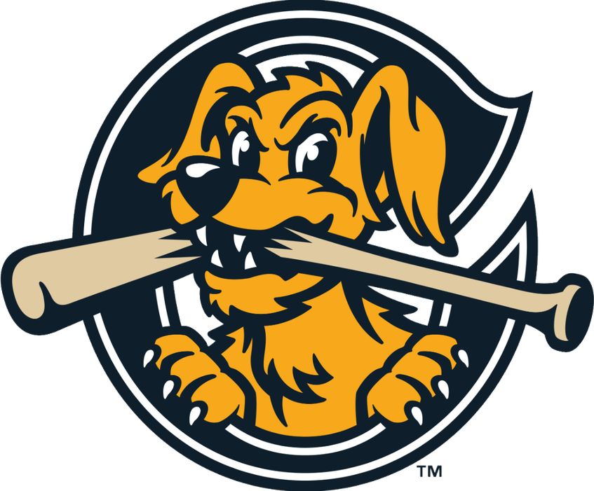 Charleston Riverdogs PNG