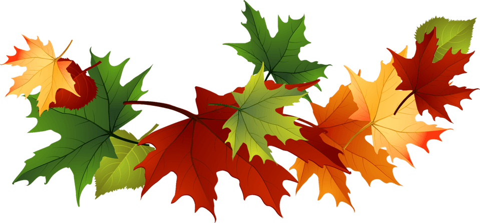Fall Banner PNG