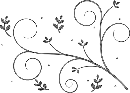 Grey Flower Border PNG