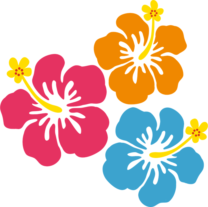 Lilo And Stitch Flower PNG