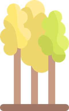 Eucalyptus PNG